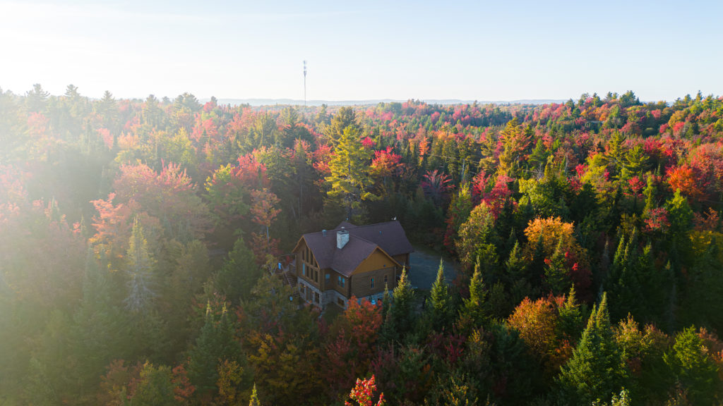 Forêt d'automne au Québec, vue aérienne