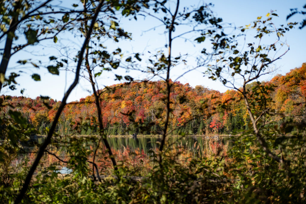 Automne au Québec